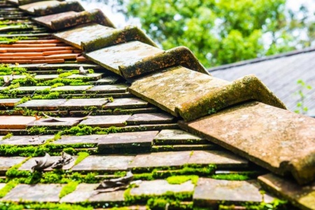 D&eacute;moussage de toiture &agrave; Golbey, une solution durable et efficace